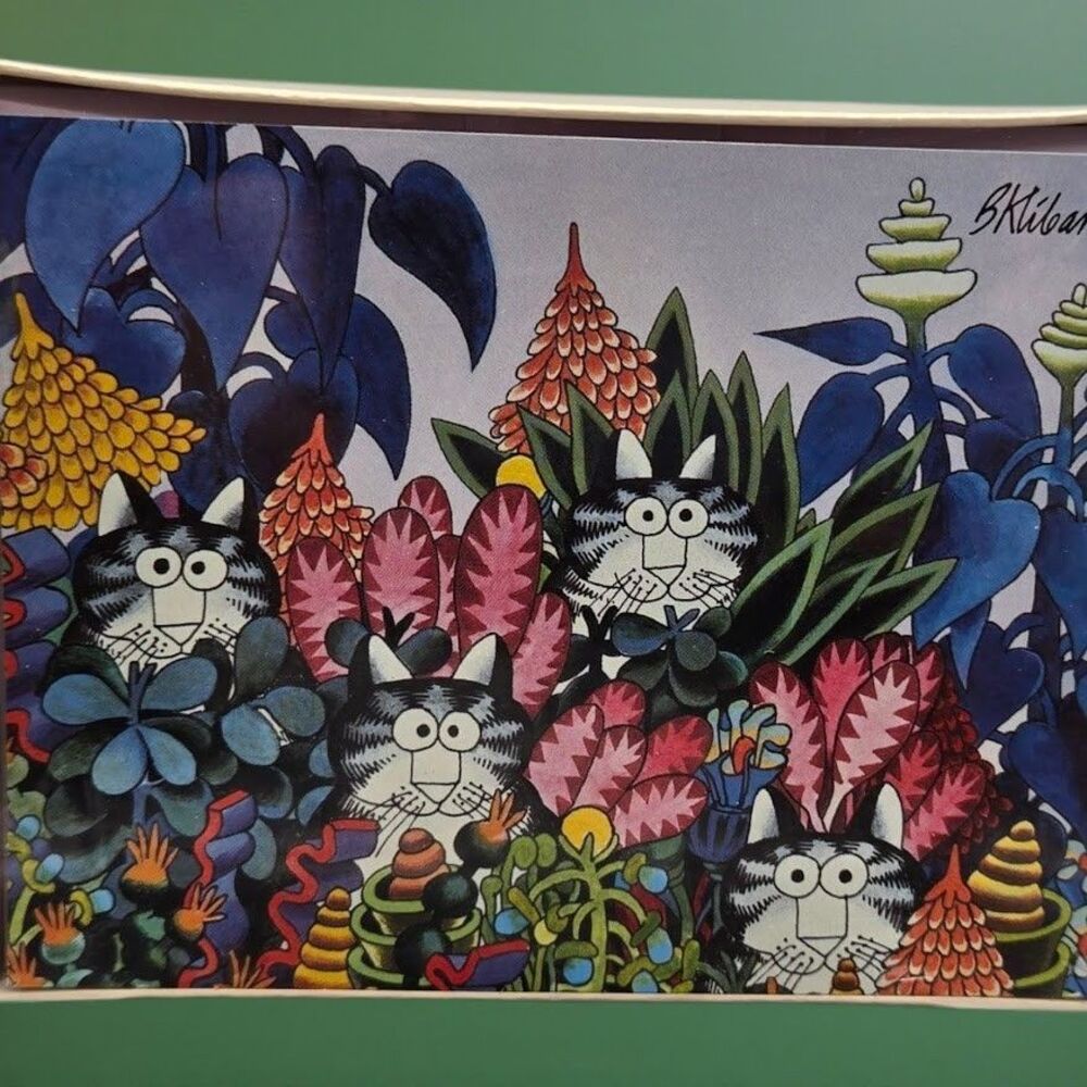 1980s B. Kliban Jungle Cats Sealed Hallmark Vintage Note Cards Complete Box Set